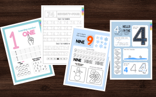 Numbers and Counting - 300 pages