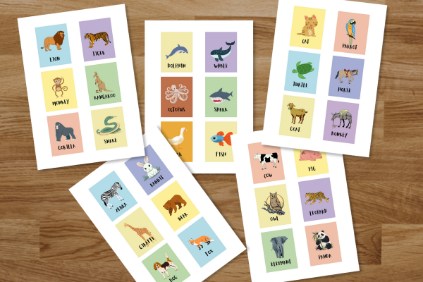Animals Flashcards