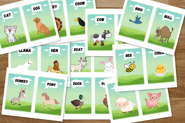 Learn Farm Animals