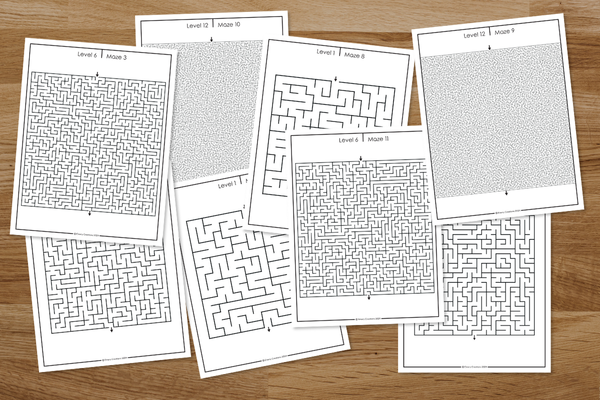 Complex Maze Puzzles