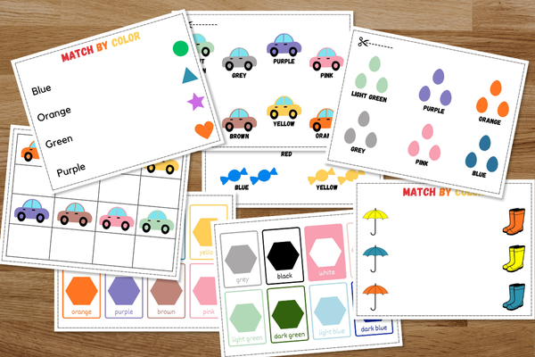 Color & Object Matching Set