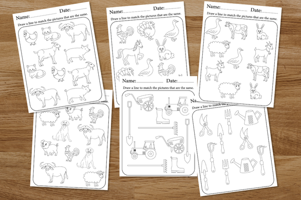 Match The Farm Animals & Tools V3