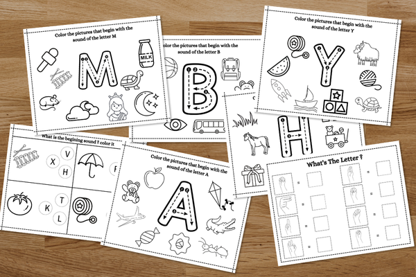 Color the words