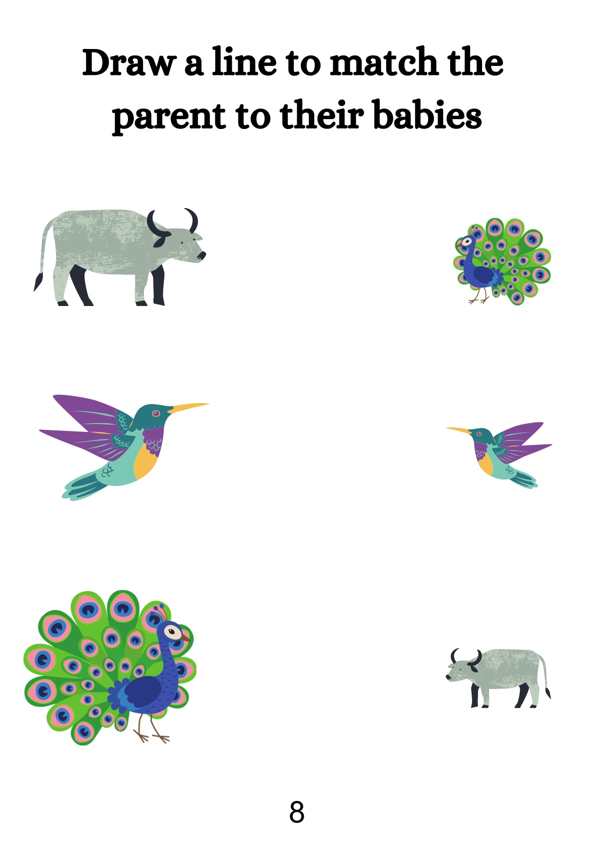 Match and Compare Activities