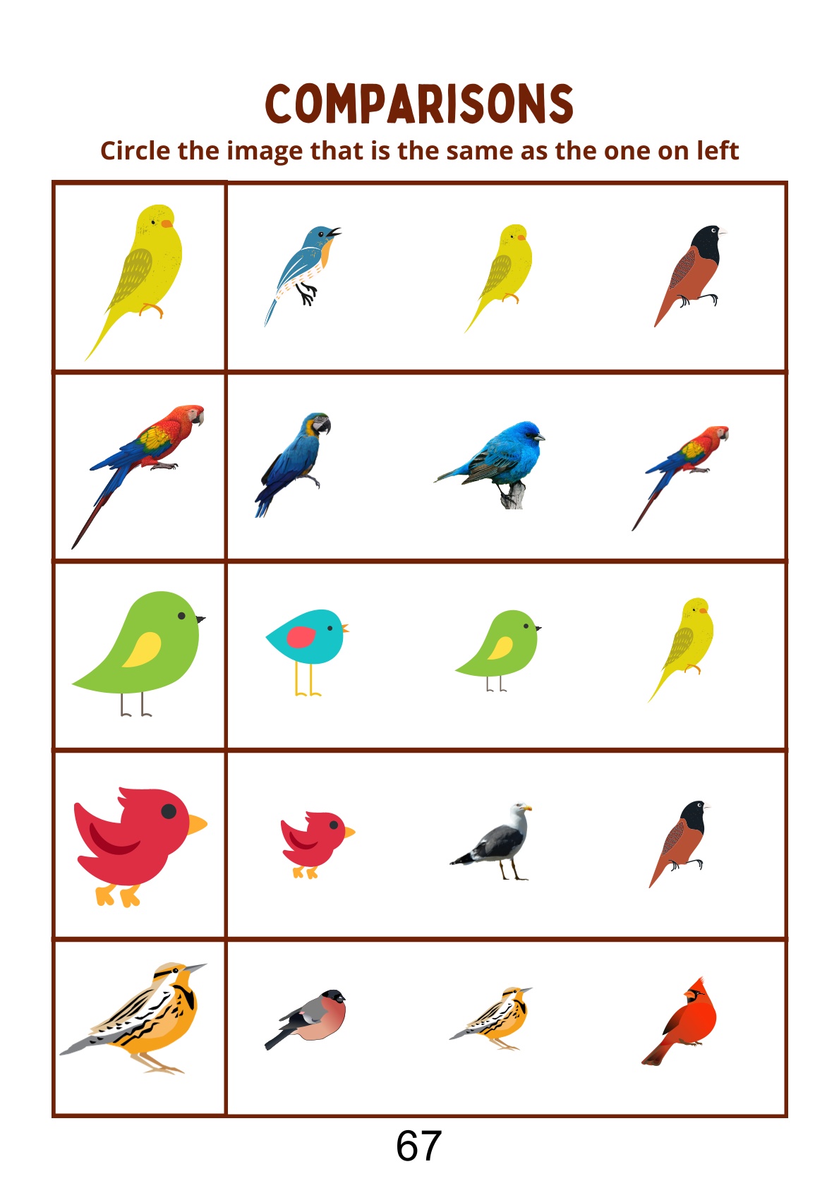 Match and Compare Activities