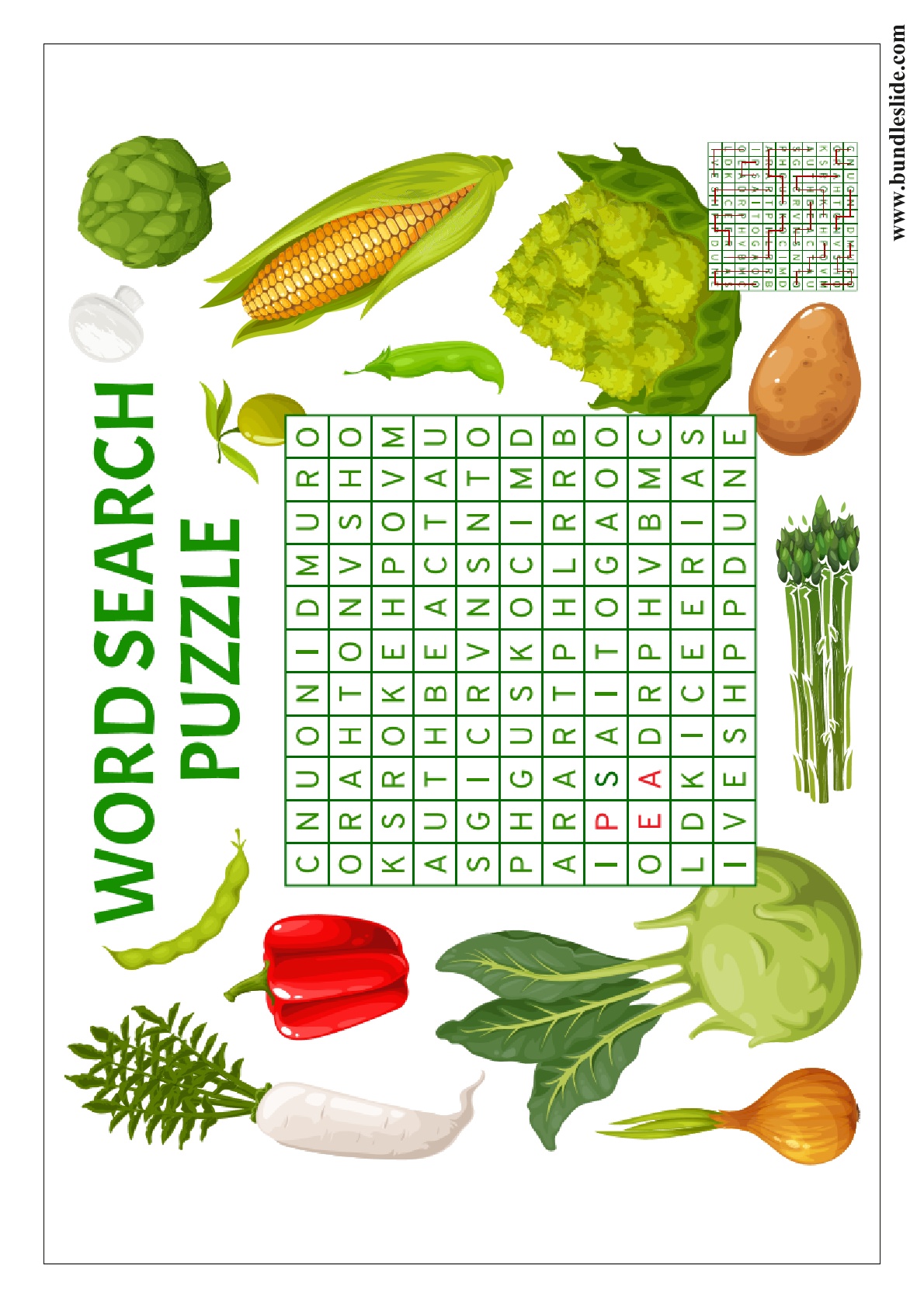 Word Search Game
