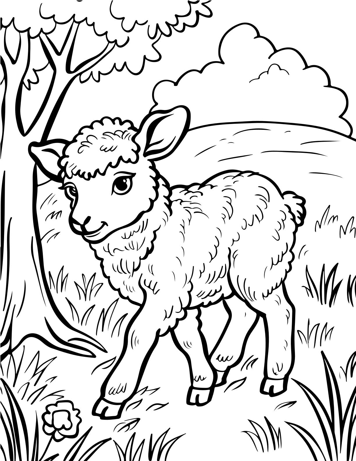 Cute Farm Animals for Toddlers