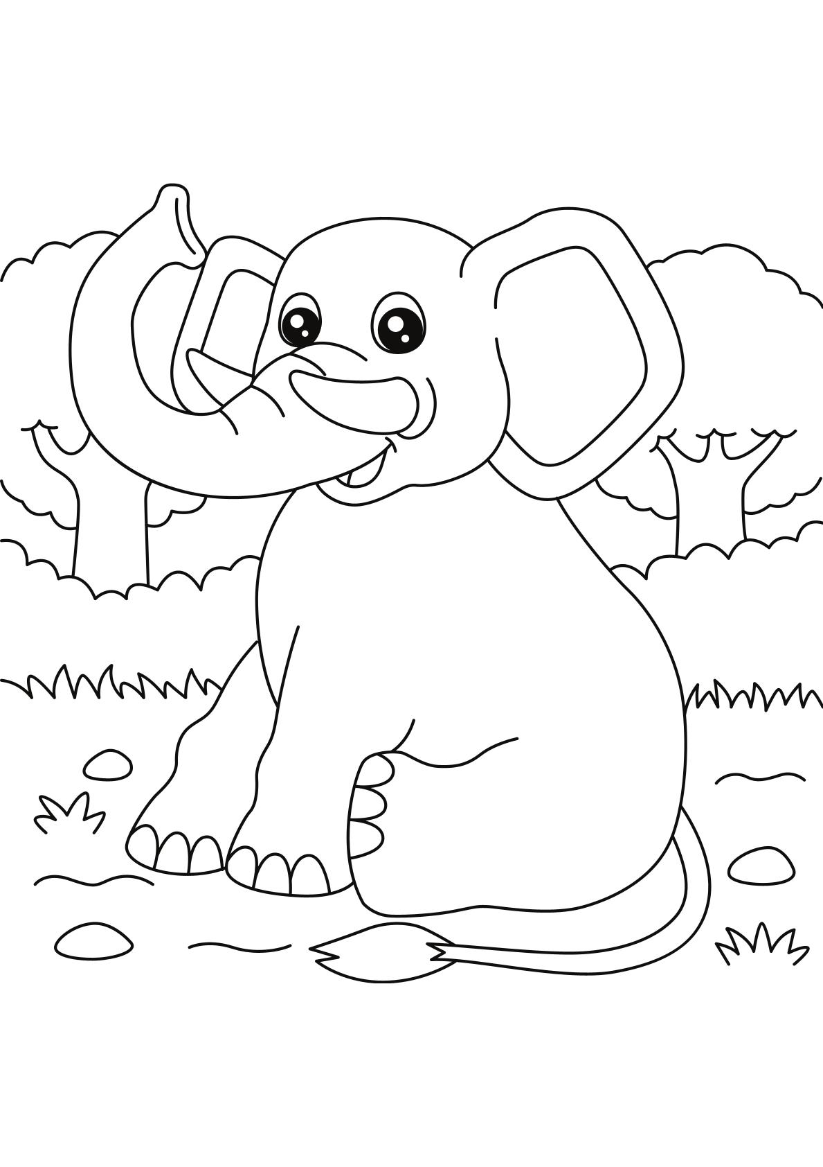 Toddlers - Animals Coloring 