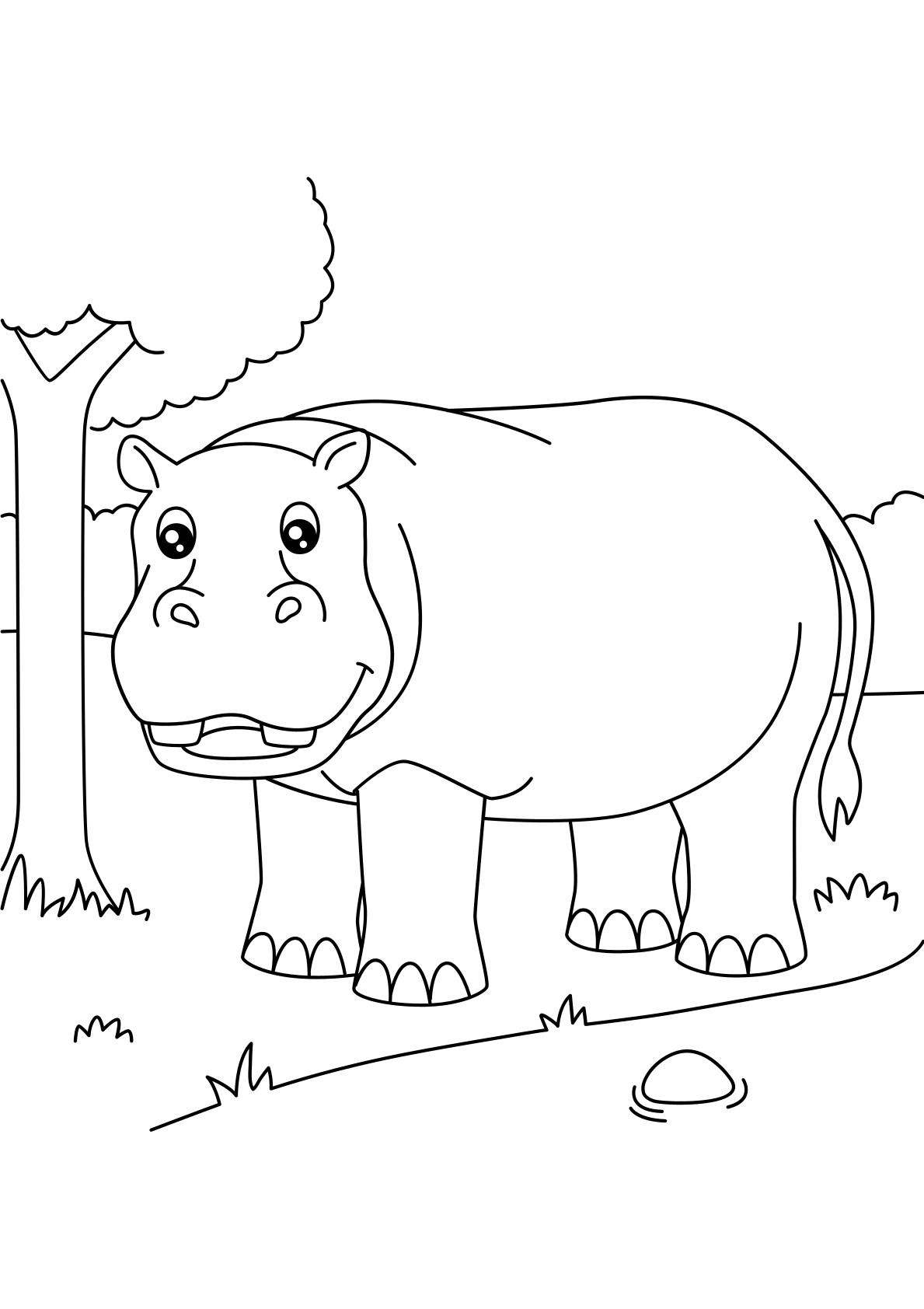 Toddlers - Animals Coloring 