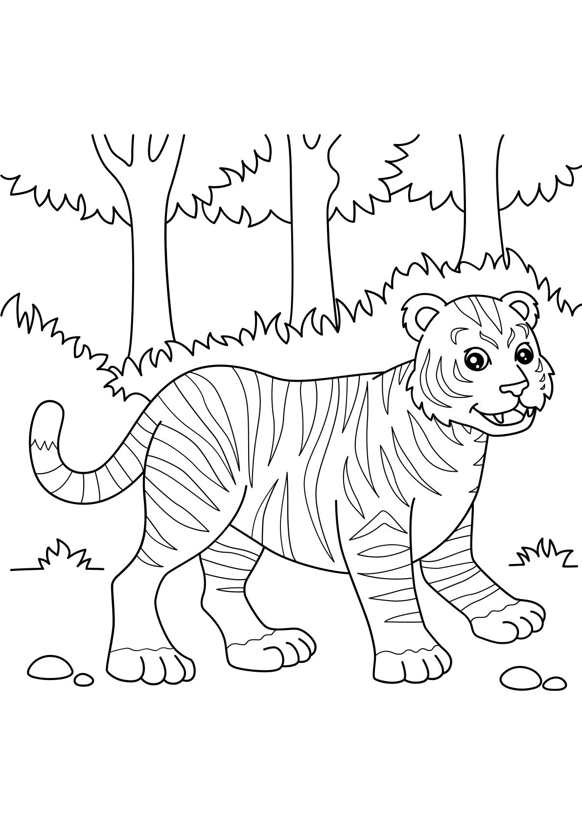 Toddlers - Animals Coloring 