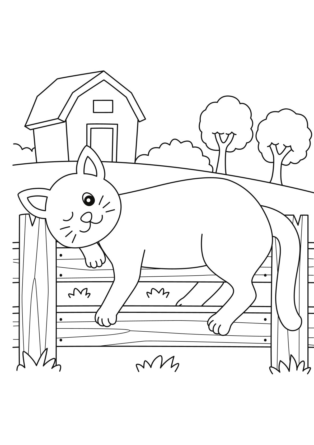 Toddlers - Animals Coloring 