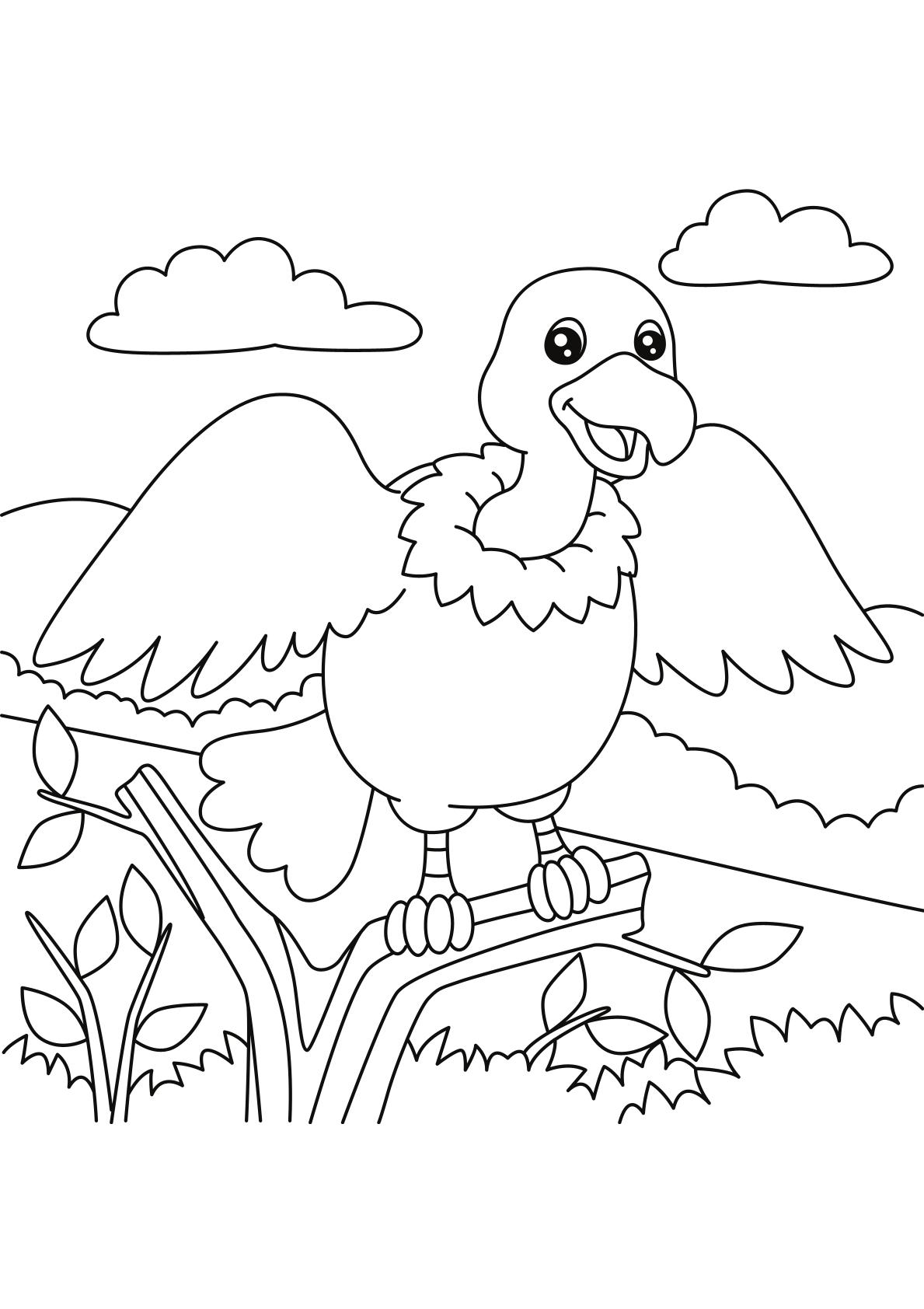 Toddlers - Animals Coloring 