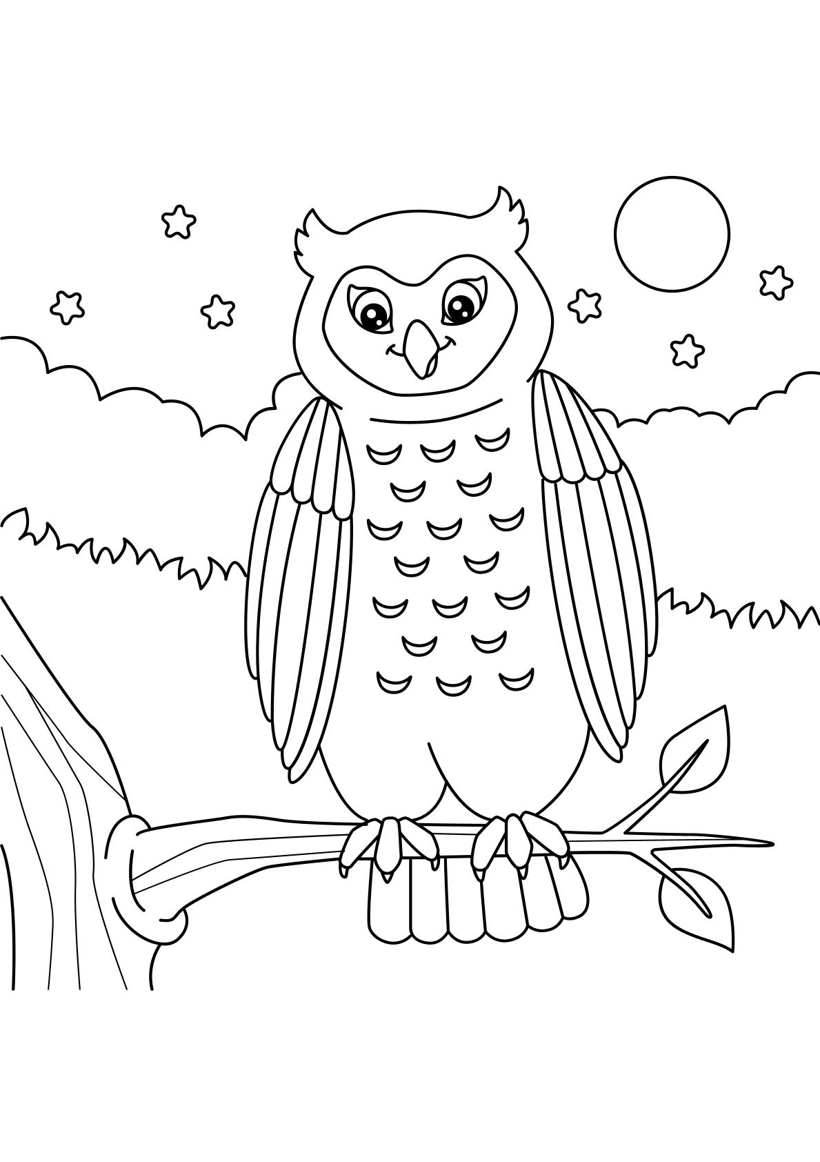 Toddlers - Animals Coloring 
