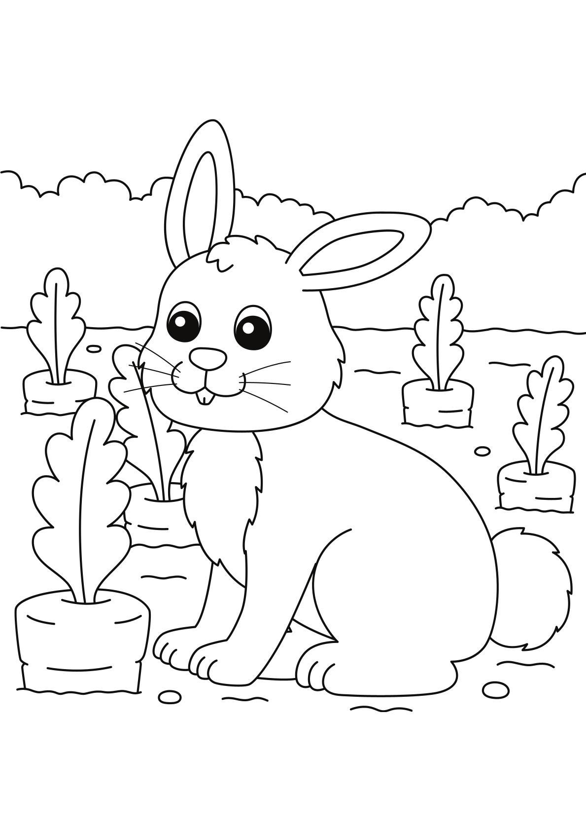 Toddlers - Animals Coloring 