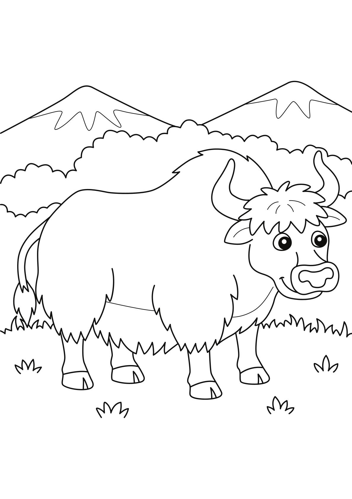 Toddlers - Animals Coloring 