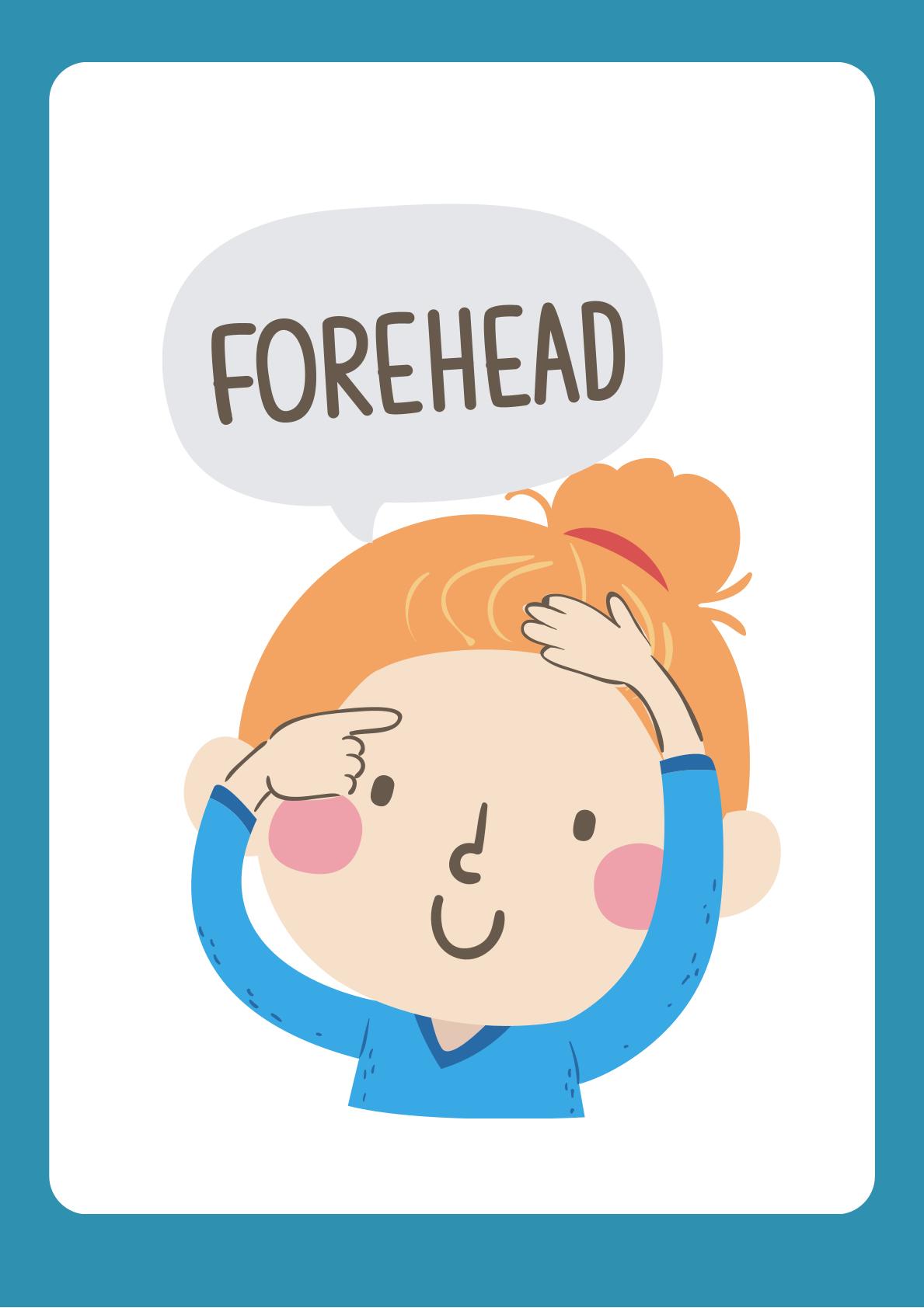 Human Body Understanding through flashcards