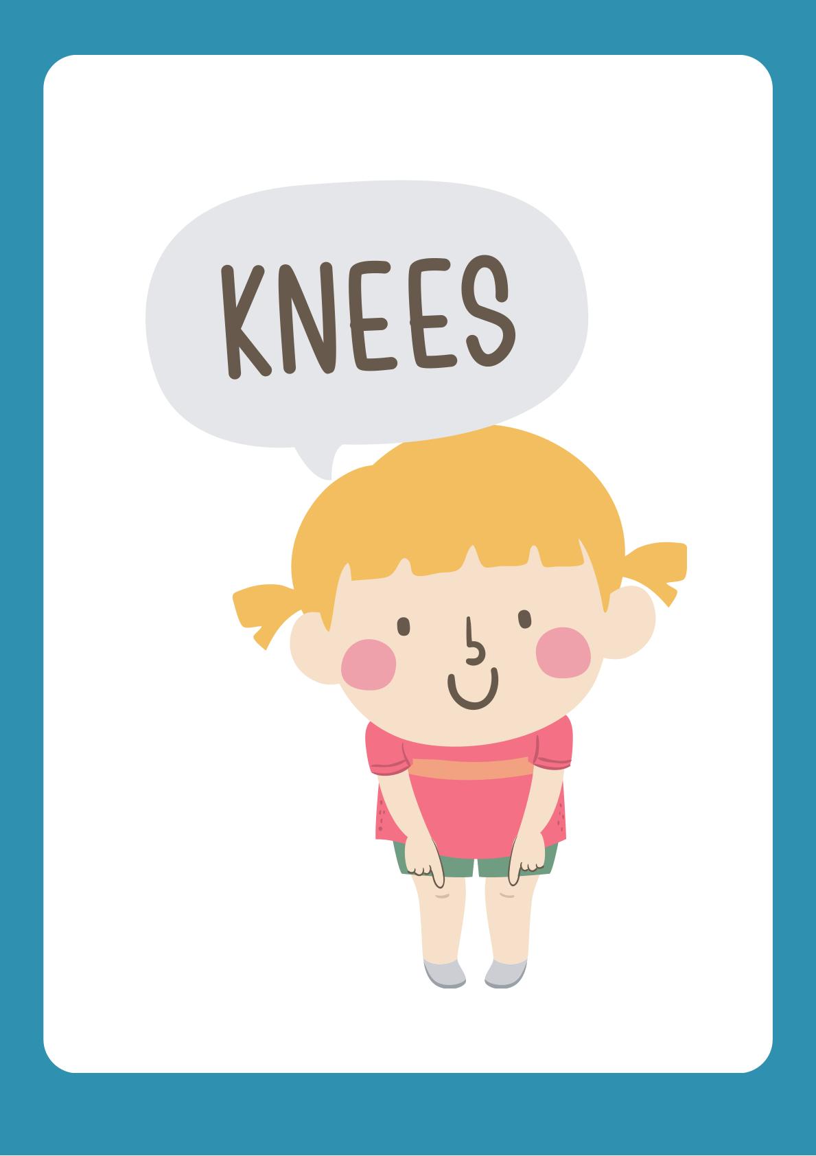 Human Body Understanding through flashcards