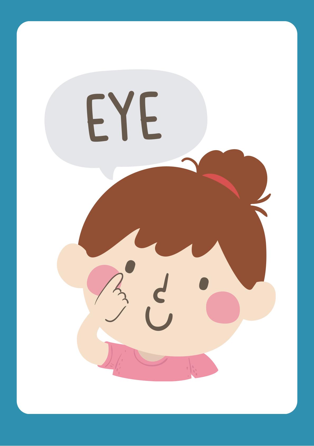 Human Body Understanding through flashcards