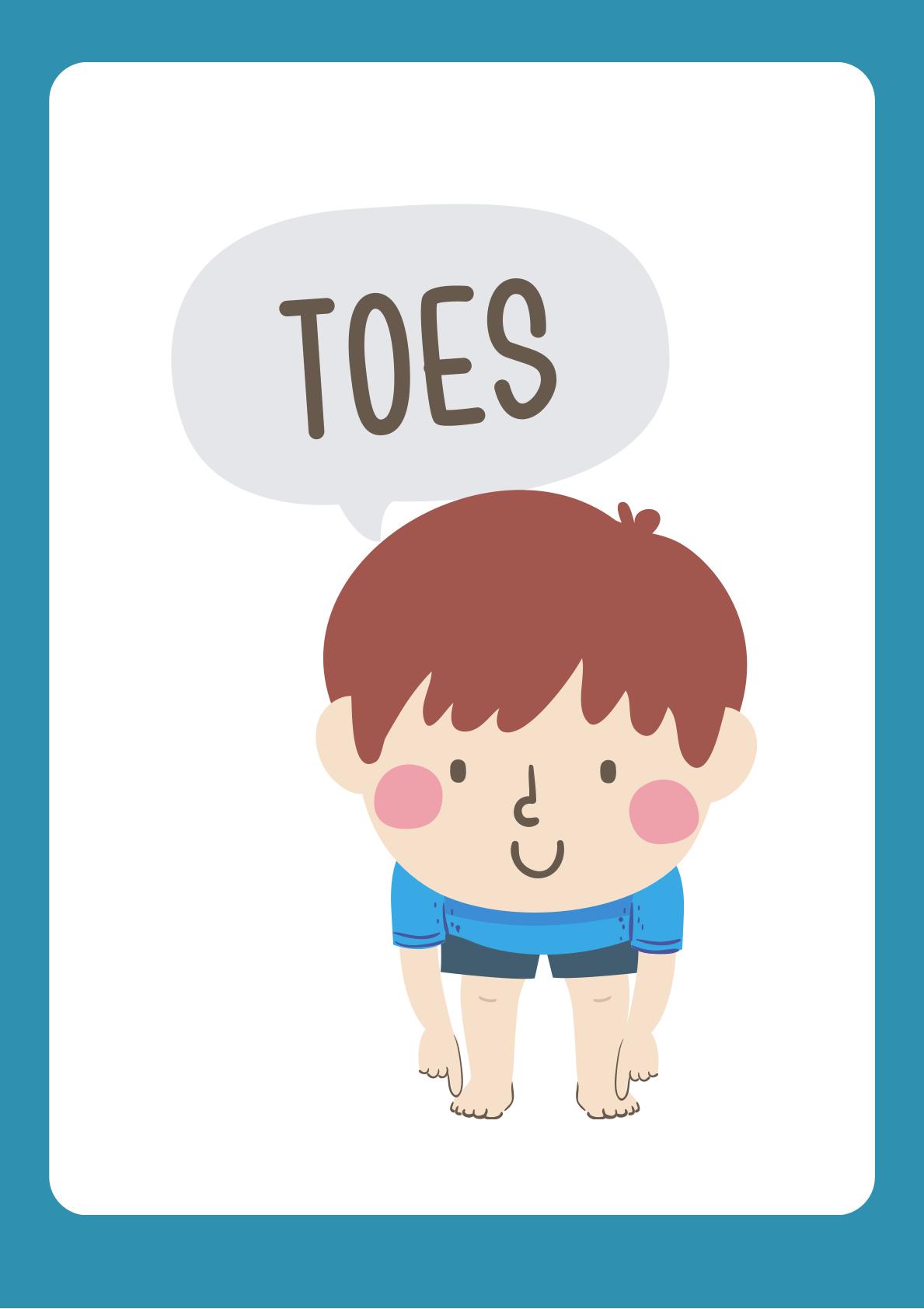 Human Body Understanding through flashcards