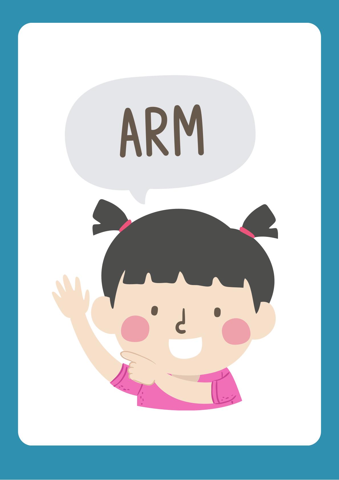 Human Body Understanding through flashcards