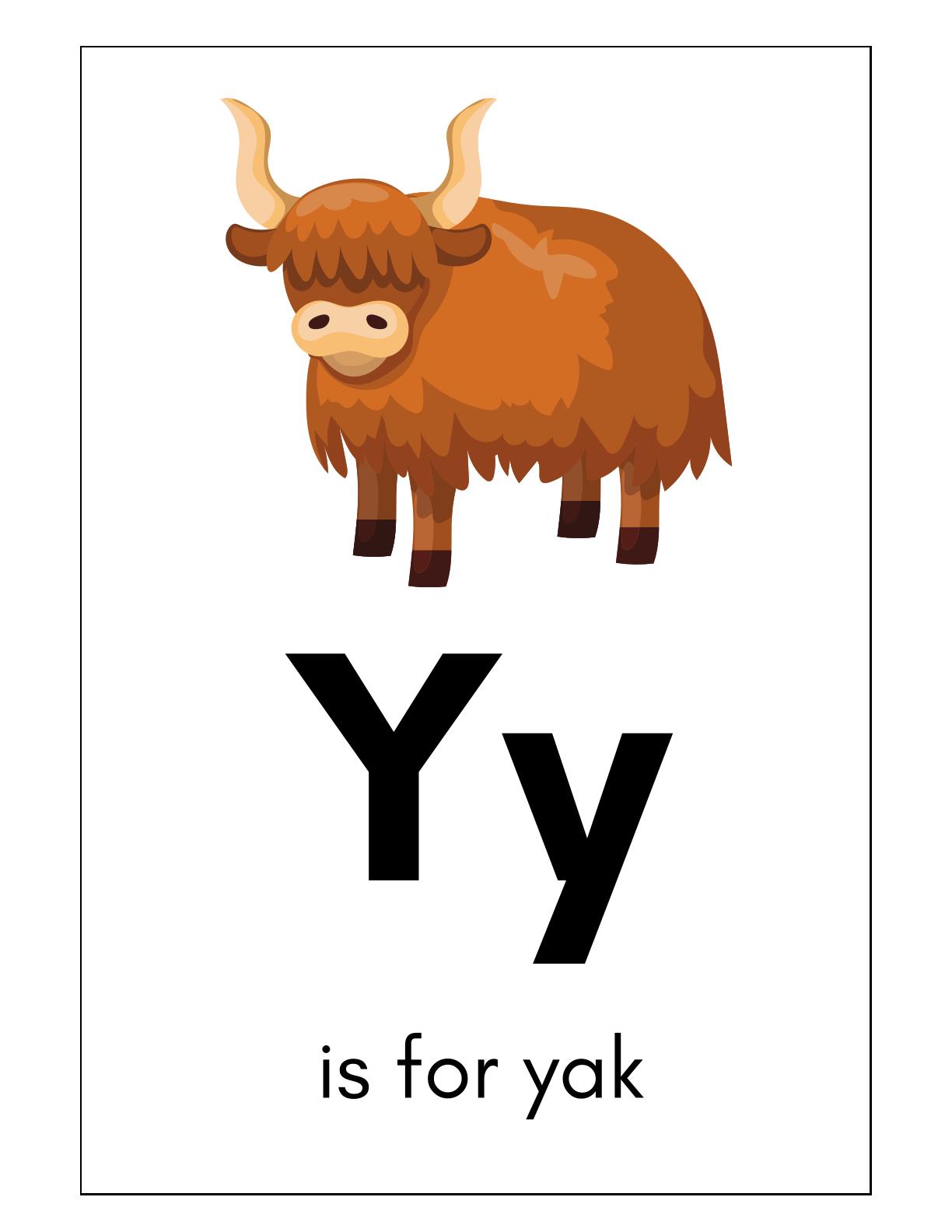 Alphabets and Words Flashcards