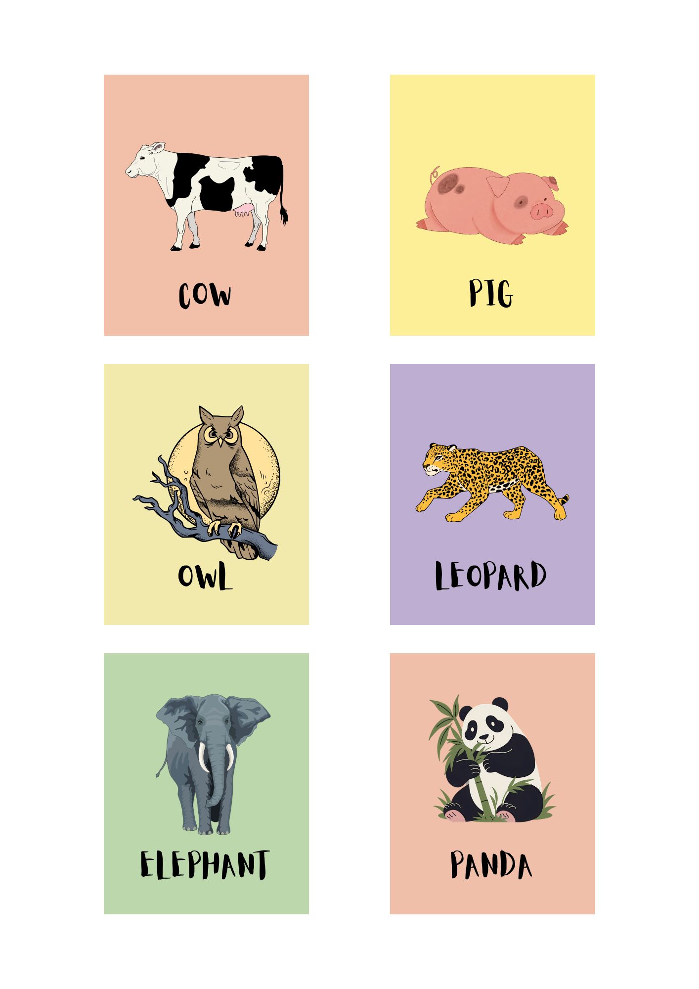 Animals Flashcards