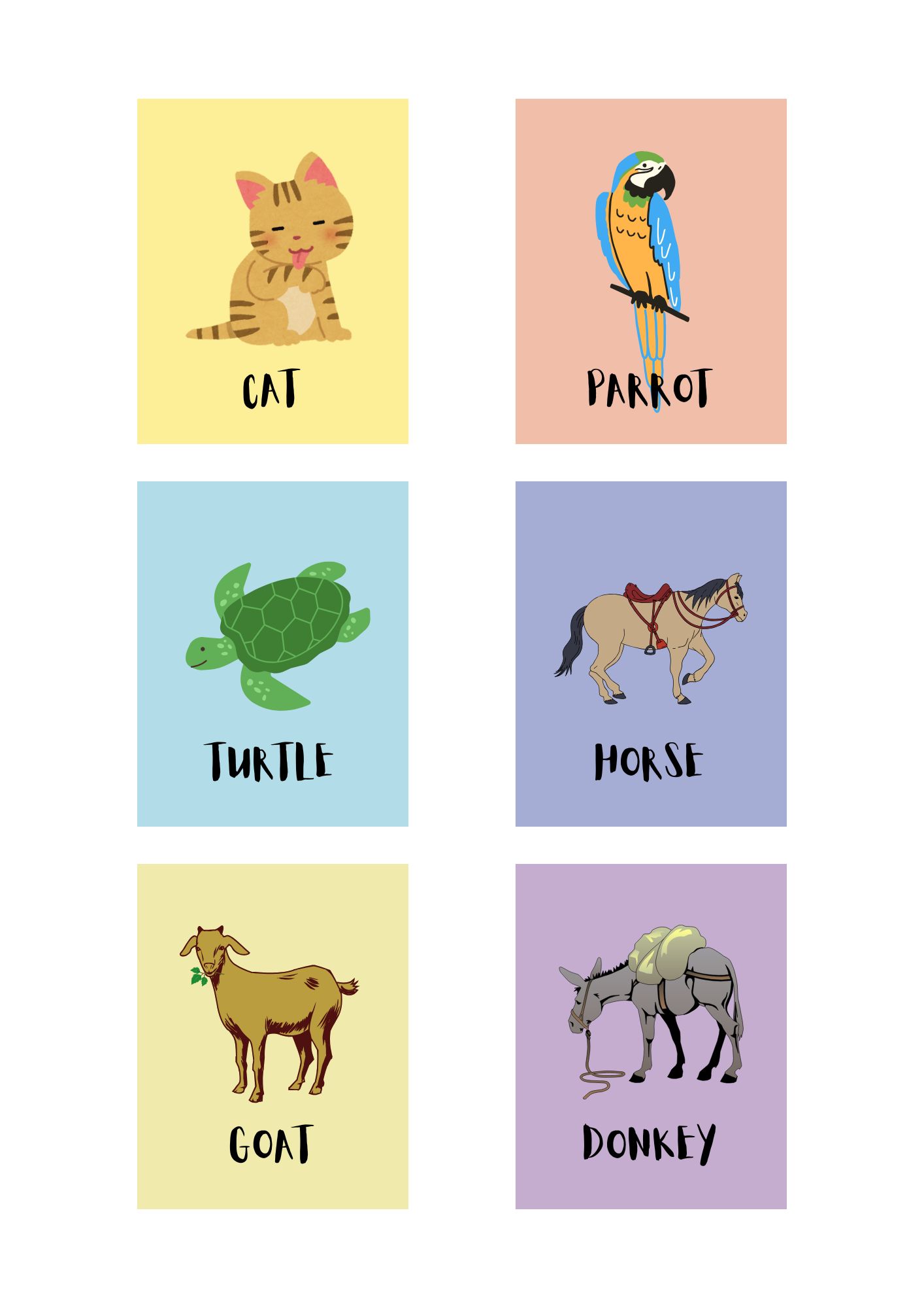 Animals Flashcards
