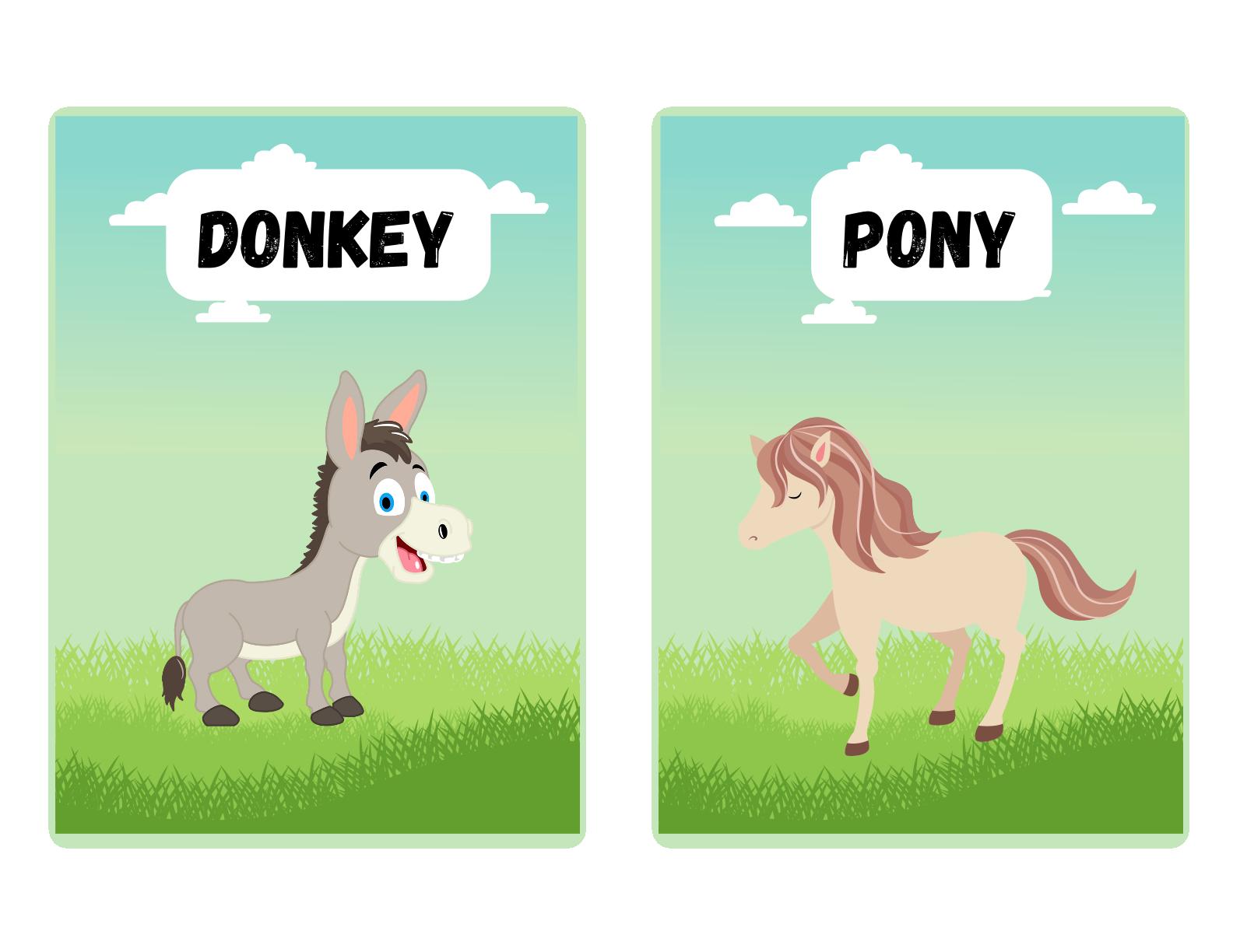 Learn Farm Animals