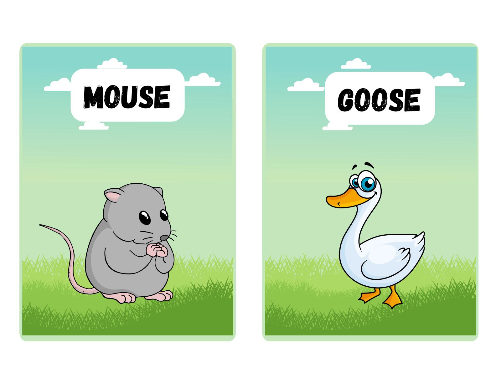 Learn Farm Animals