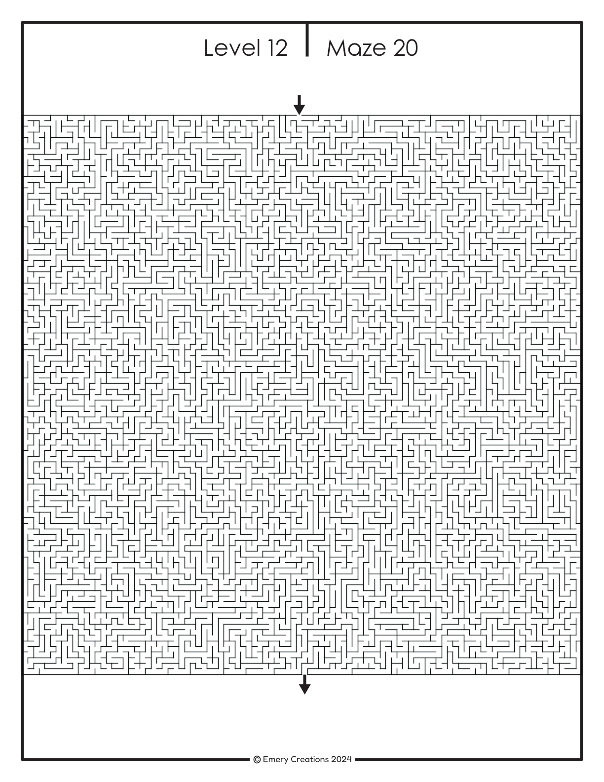 Complex Maze Puzzles