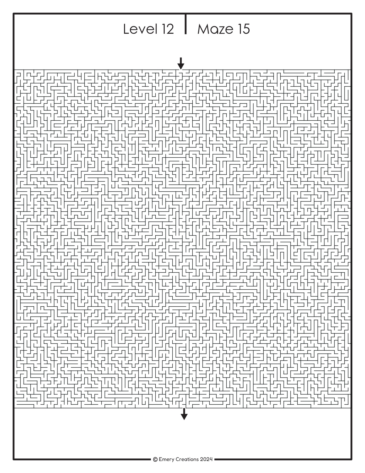 Complex Maze Puzzles